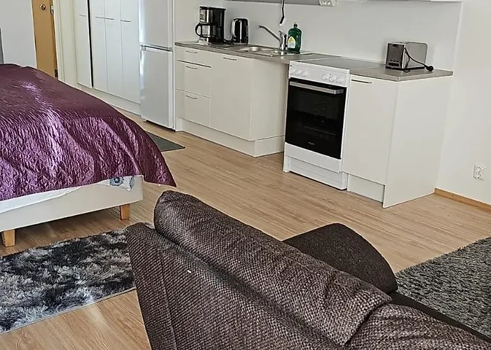 Ponto Luso-can Helsinki